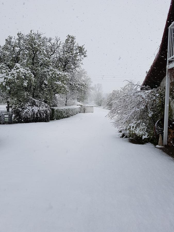 Villa Folwark Leszczynówka Srebrna Góra Exterior foto